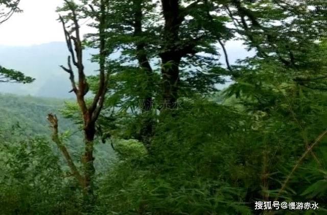 双球转动